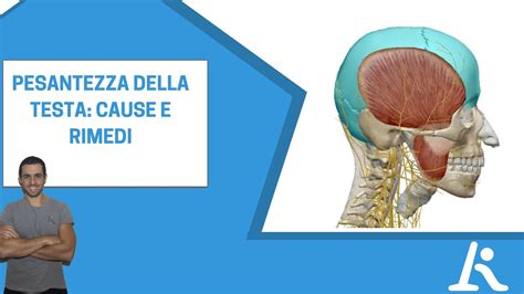 mi sento la testa compressa|Testa pesante e senso di intontimento .